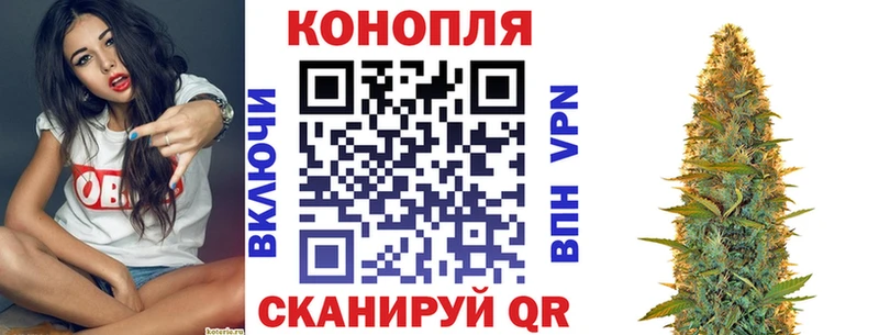 Канабис планчик Волгоград