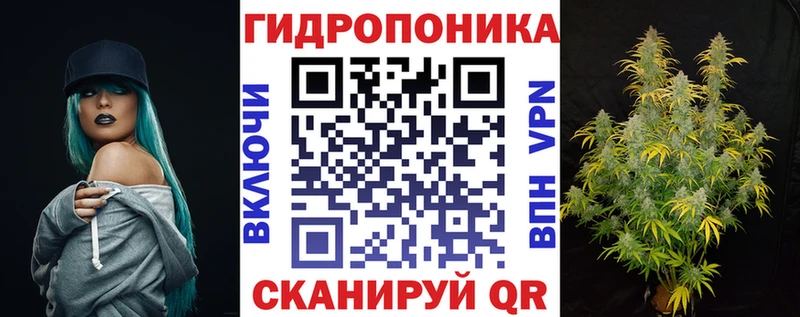 Канабис ГИДРОПОН  Купить где  Волгоград 